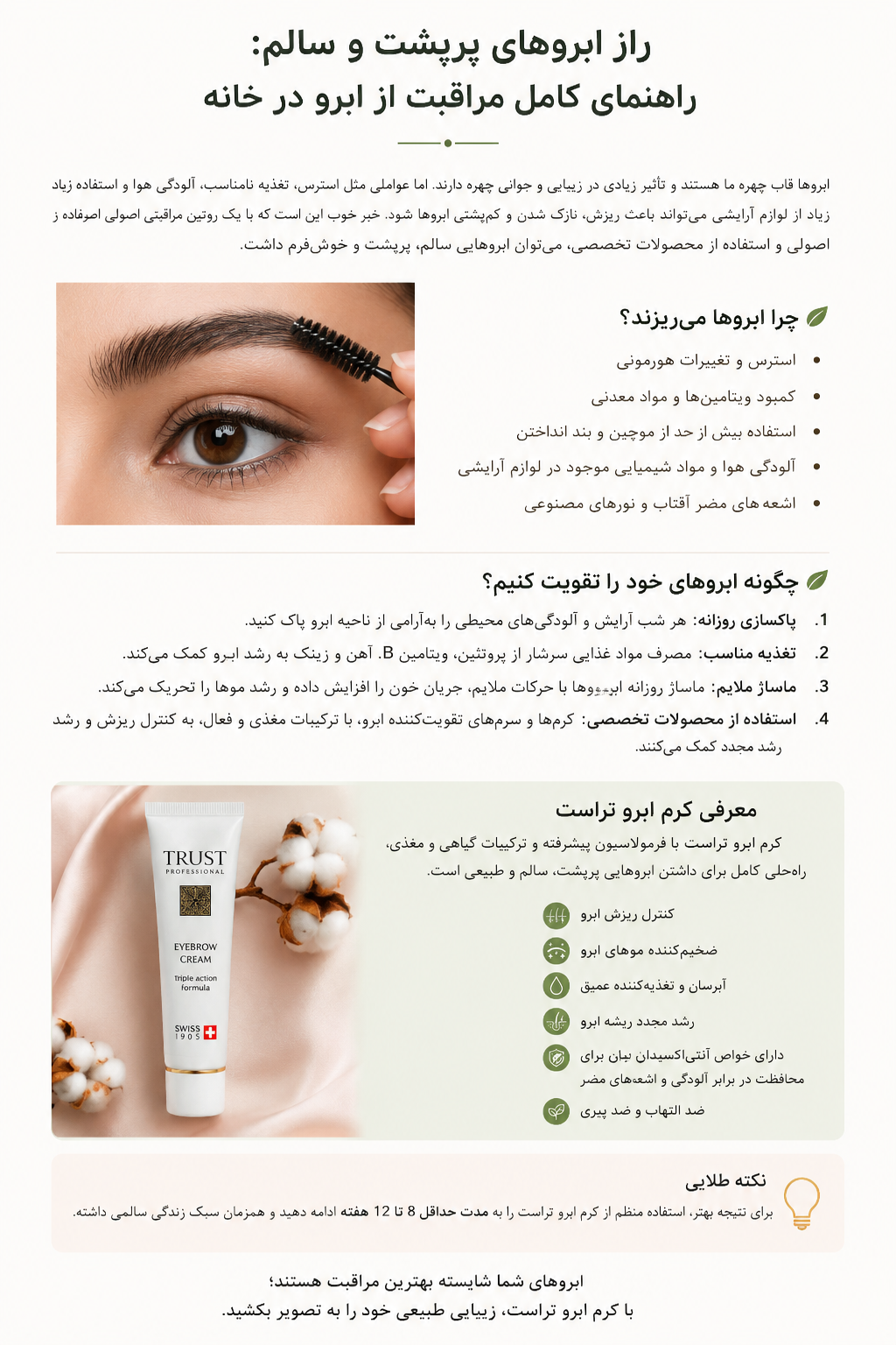 چگونه ابروهای پر پشت و ضخیم تری داشته باشیم؟
